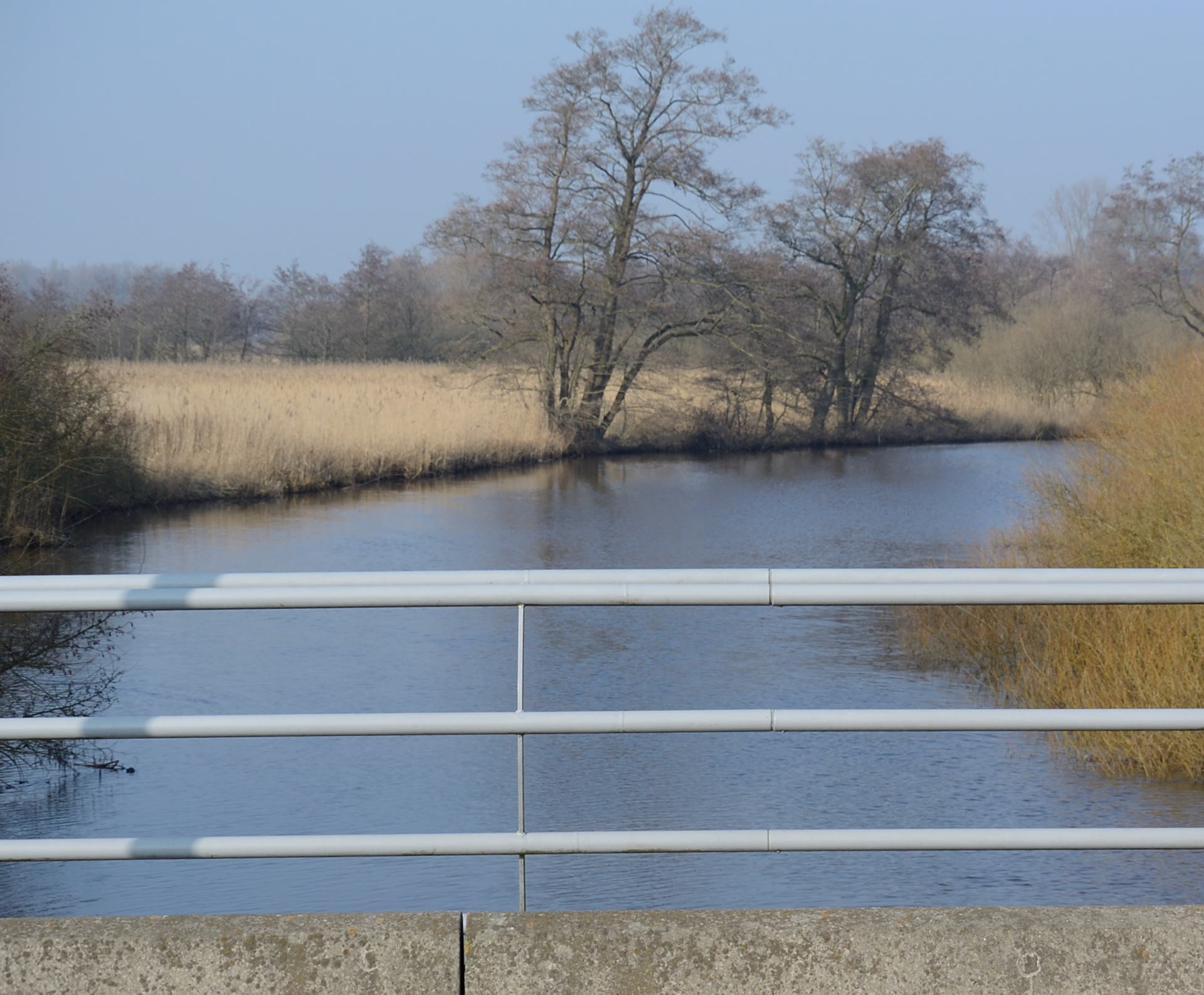/kraai/foto/2015/2015-02-16 Blankehoeve/DSC_0988_009.jpg